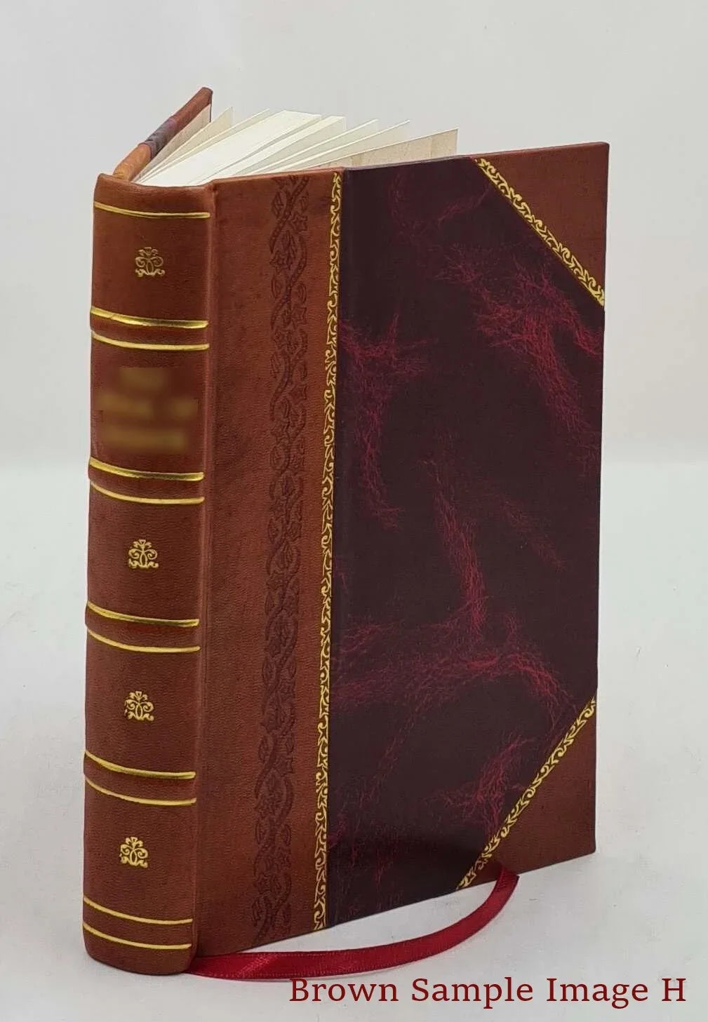Die Suggestion und ihre Heilwirkung / von H. Bernheim ; autorisirte deutsche Ausg. von Sigm. Freud. v.2. Volume v.2 1889 [Leather Bound]