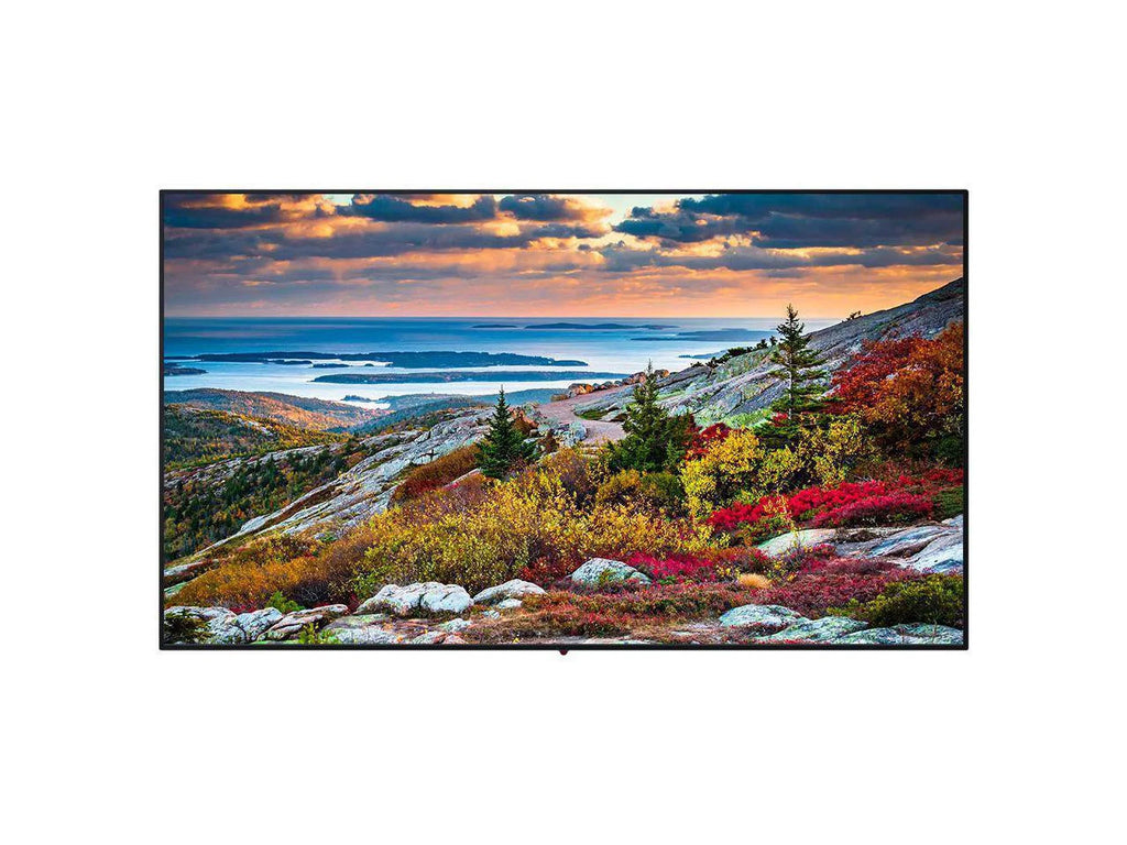Panasonic TH-65CQE1WA 65-Inch Widescreen 4K Ultra HD Monitor - 3840 x 2160 - 16:9 - 5000:1 - 8 ms - 400 cd/m2 - Wi-Fi - Ethernet - USB - Black