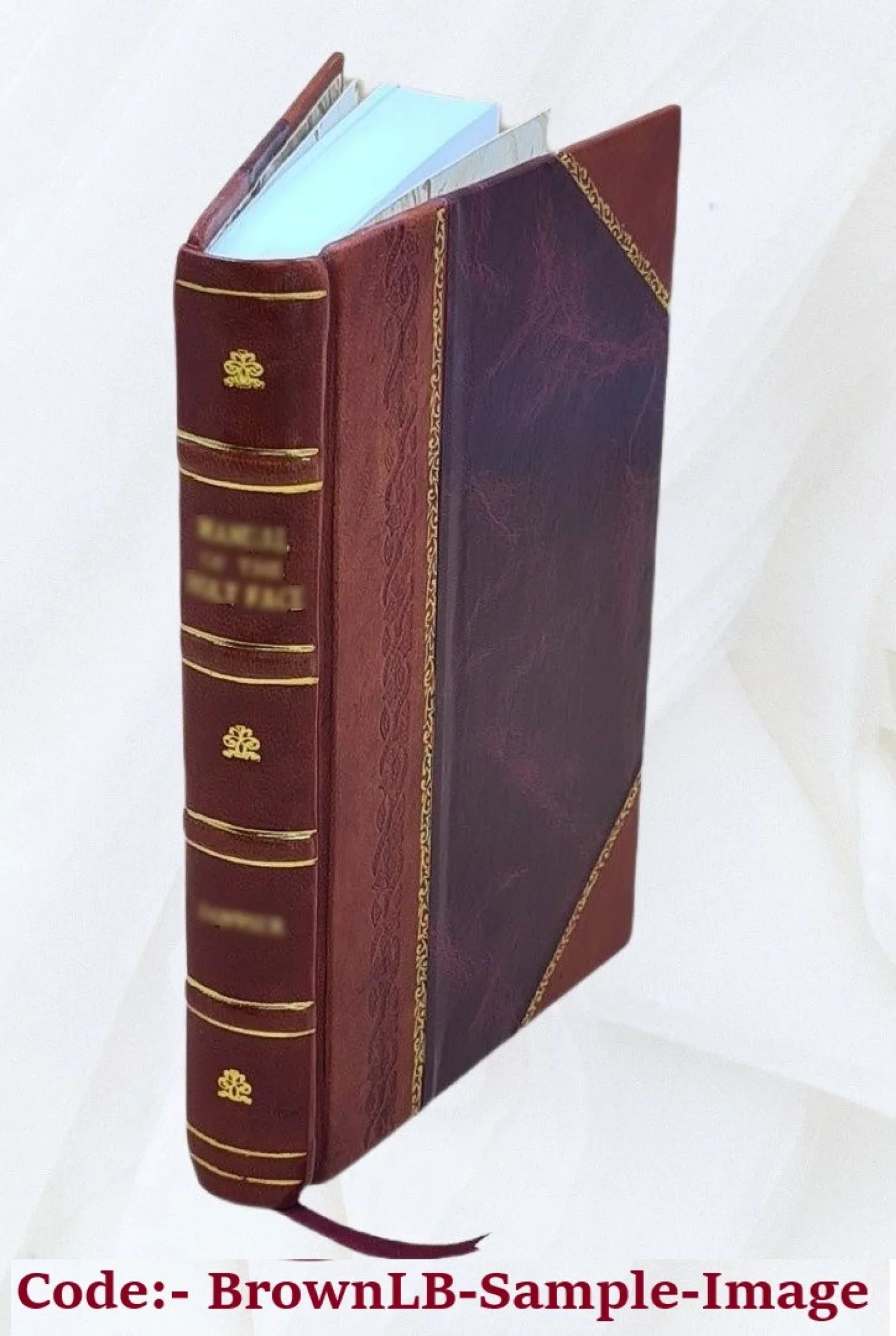 Genève et les rives du Léman; le pays et les hommes, le passé et le présent de la Suisse Romande, par Rodolphe Rey ... 1875 [Leather Bound]