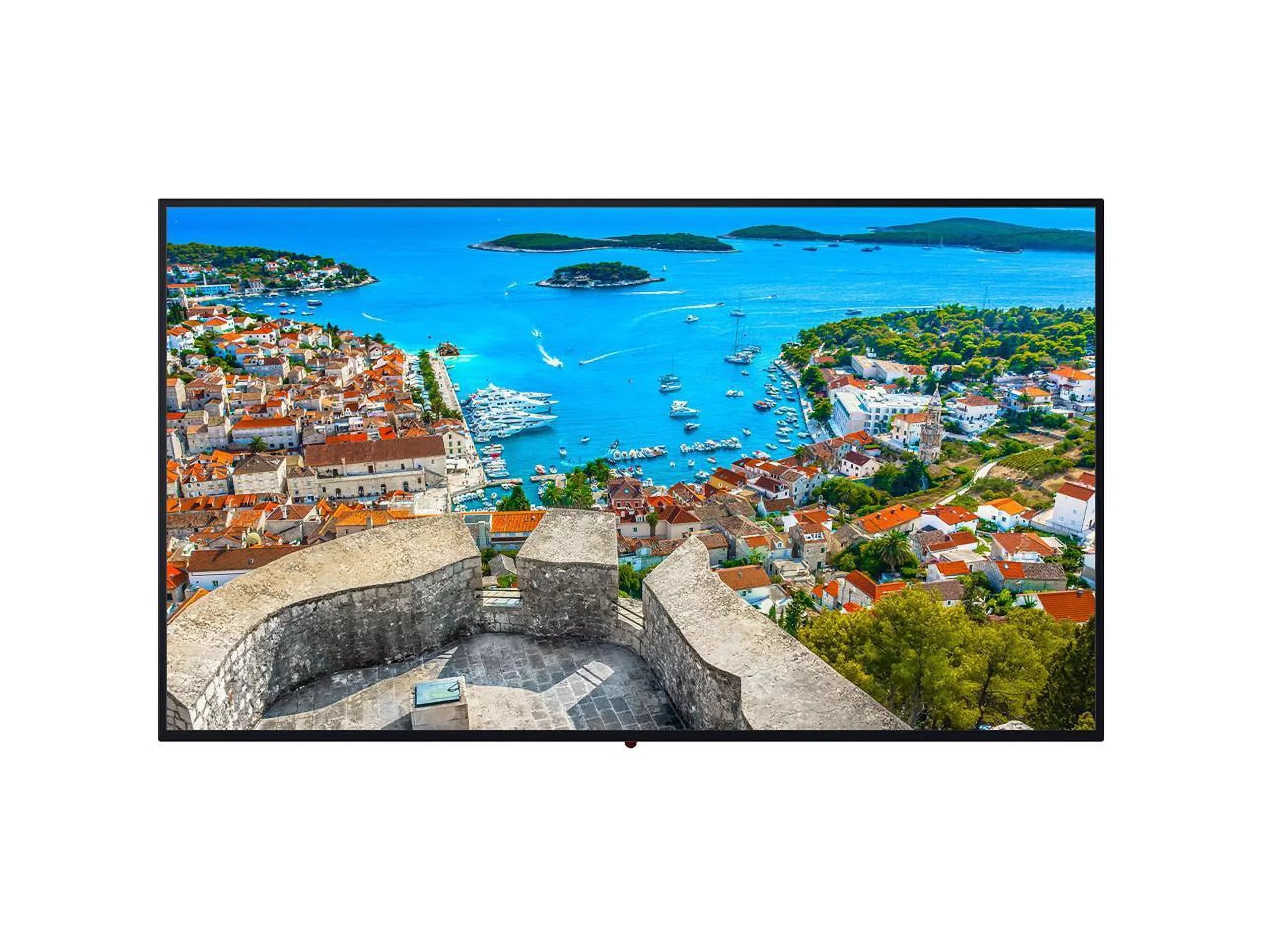 Panasonic TH-65CQE1WA 65-Inch Widescreen 4K Ultra HD Monitor - 3840 x 2160 - 16:9 - 5000:1 - 8 ms - 400 cd/m2 - Wi-Fi - Ethernet - USB - Black