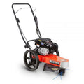 Generac Power Systems 250009 DR Power 22 in. Walk Behind Gas 6.75 FPT Trimmer Mower