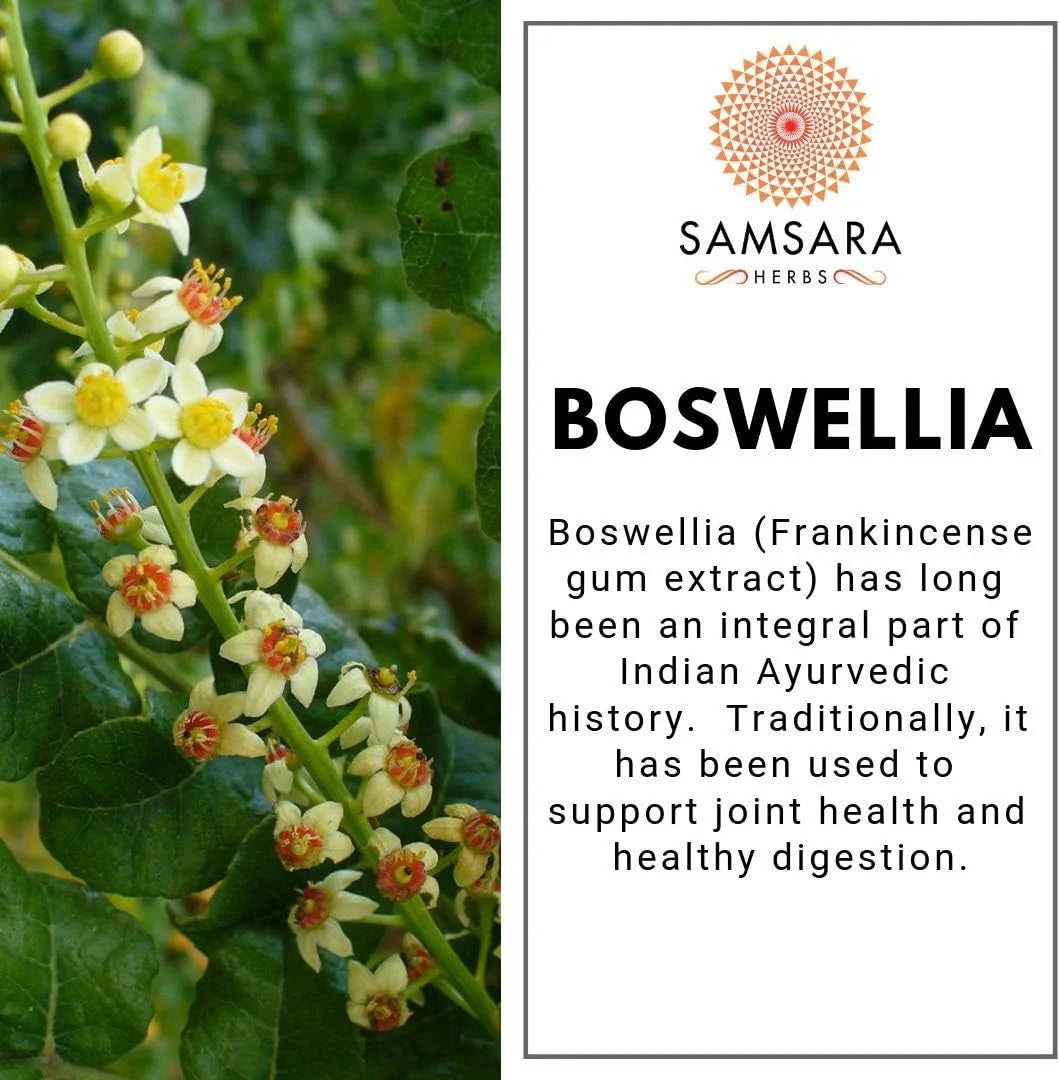 Samsara Herbs Boswellia Extract (2oz/57g) - 90% Boswellic Acid | Digestion | Respiratory Support