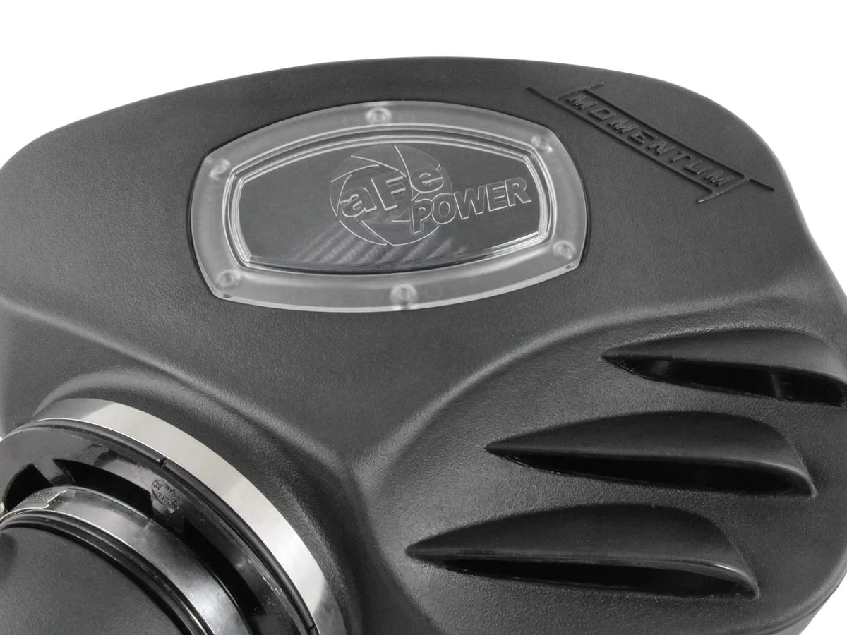 Momentum Cold Air Intake System w/ Pro DRY S Filter