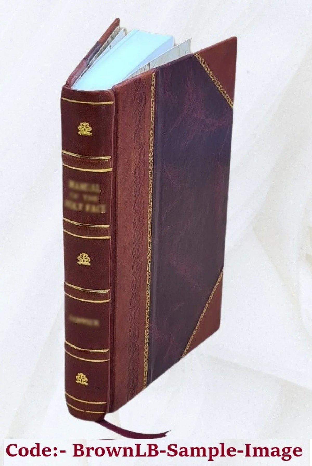 Histoire de l'église de Genève depuis les temps les plus anciens jusqu'en 1802 : avec des pièces justificatives Volume v.2 1880 [Leather Bound]